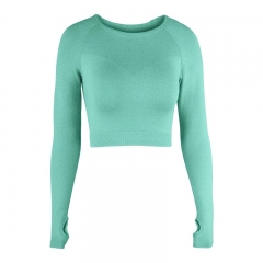 Stylish Vital Seamless Crop Top for Active Fashionistas